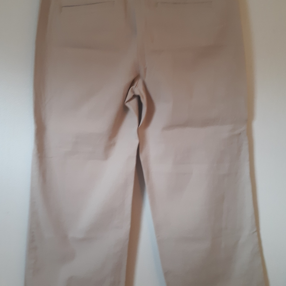 LOFT Pants
